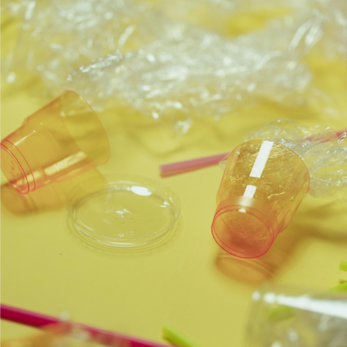 🚫 “You’re Not Broken—It’s the Obesogens!” Why Toxins Could Be Stalling Your Weight Loss