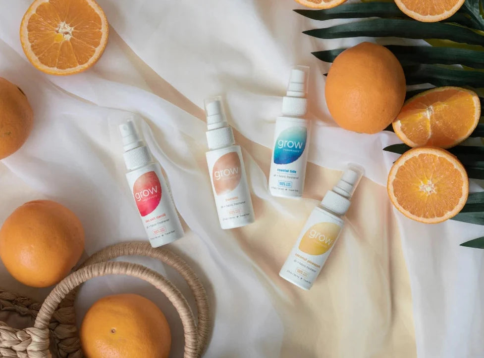Summer Discovery Set - Limited Edition